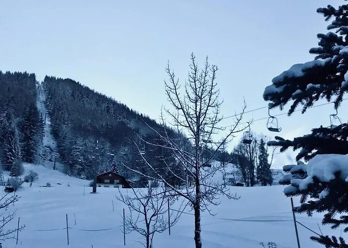 Sommerauer 3* Hallein